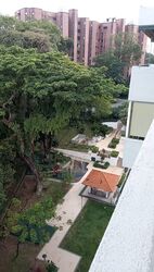 Botanic Gardens View (D10), Apartment #411396651